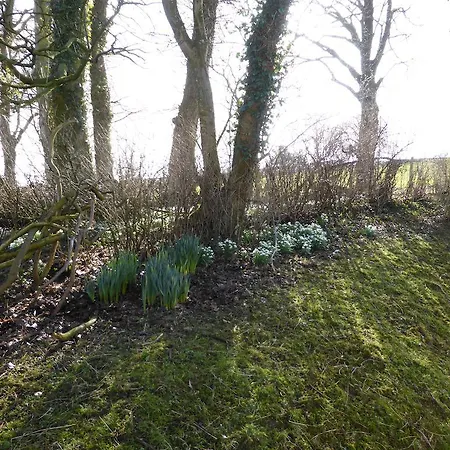 Woodlands & Pensjonat Ireby